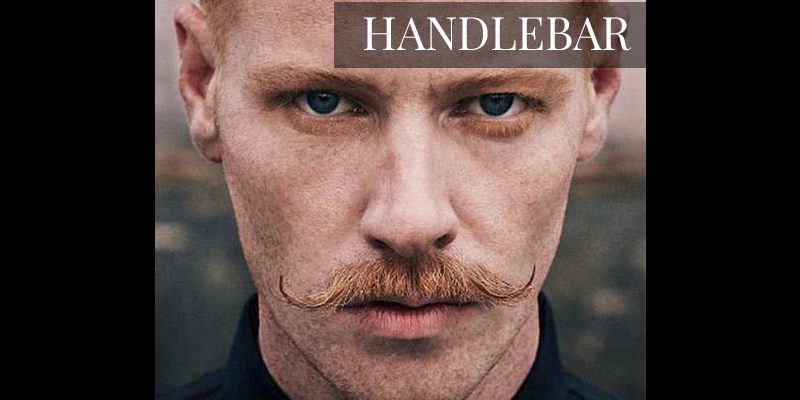 Handlebar