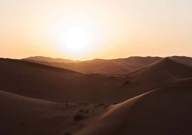 Desert Women Summit 2019